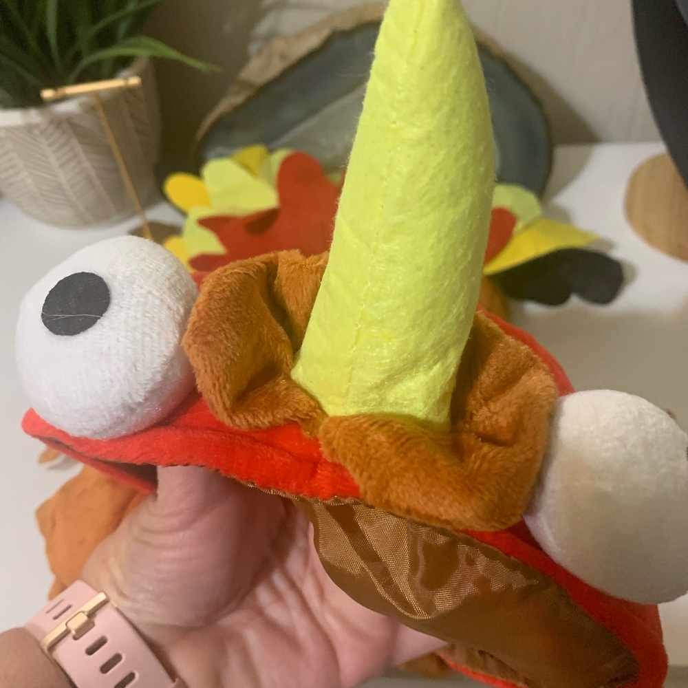 Colorful turkey dog costume